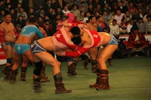 Эх орончдын өдөрт зориулсан барилдаан болно